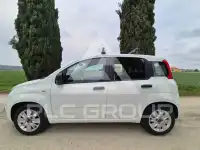2017 Fiat Panda