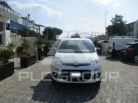 2017 Fiat Panda