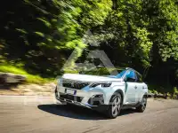2017 Peugeot 3008