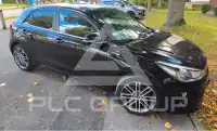 2017 KIA Rio