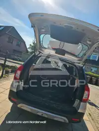 2018 Dacia Logan