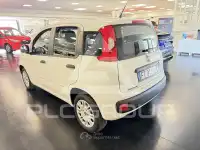 2018 Fiat Panda
