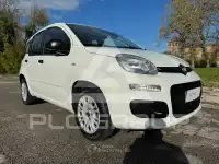 2018 Fiat Panda