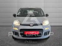 2018 Fiat Panda