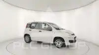 2018 Fiat Panda