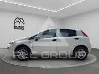 2018 Fiat Punto