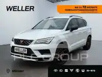 2019 Cupra Other