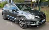 2019 Cupra Other