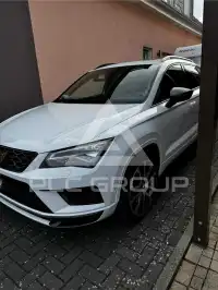 2019 Cupra Other