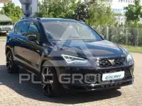 2019 Cupra Other