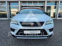 2019 Cupra Other