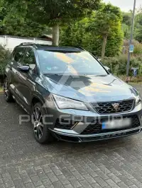 2019 Cupra Other