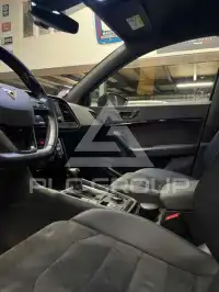 2019 Cupra Other