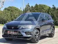 2019 Cupra Other