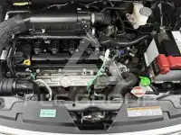 2019 Suzuki Ignis
