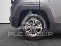 2019 Jeep Renegade