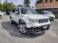 2019 Jeep Renegade