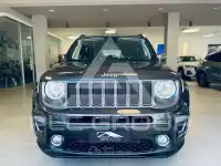 2019 Jeep Renegade