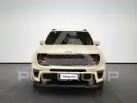 2019 Jeep Renegade