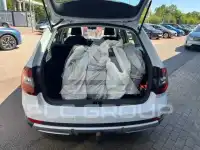2019 Skoda Octavia