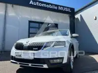 2019 Skoda Octavia