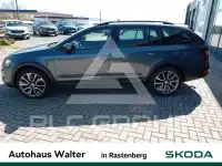 2019 Skoda Octavia