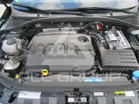 2019 Skoda Octavia