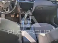 2019 Skoda Octavia