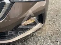 2019 Skoda Scala