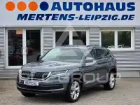 2019 Skoda Kodiaq