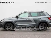 2019 Skoda Karoq