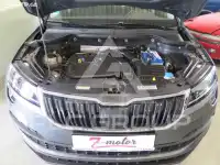 2019 Skoda Karoq