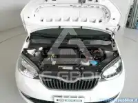 2019 Skoda Citigo