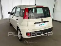 2019 Fiat Panda