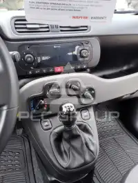 2019 Fiat Panda