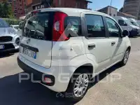 2019 Fiat Panda