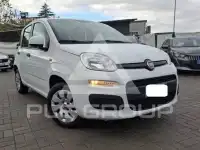 2019 Fiat Panda