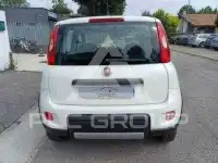 2019 Fiat Panda