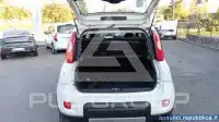 2019 Fiat Panda