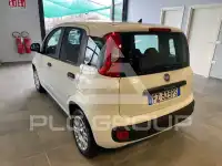 2019 Fiat Panda