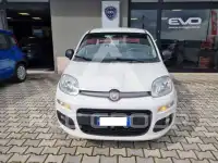 2019 Fiat Panda