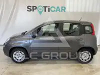 2019 Fiat Panda