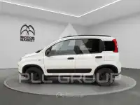 2019 Fiat Panda