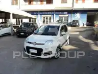2019 Fiat Panda