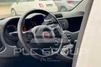 2019 Fiat Panda