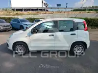2019 Fiat Panda