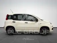 2019 Fiat Panda