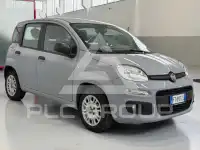 2019 Fiat Panda