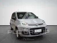 2019 Fiat Panda