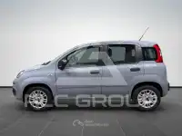 2019 Fiat Panda
